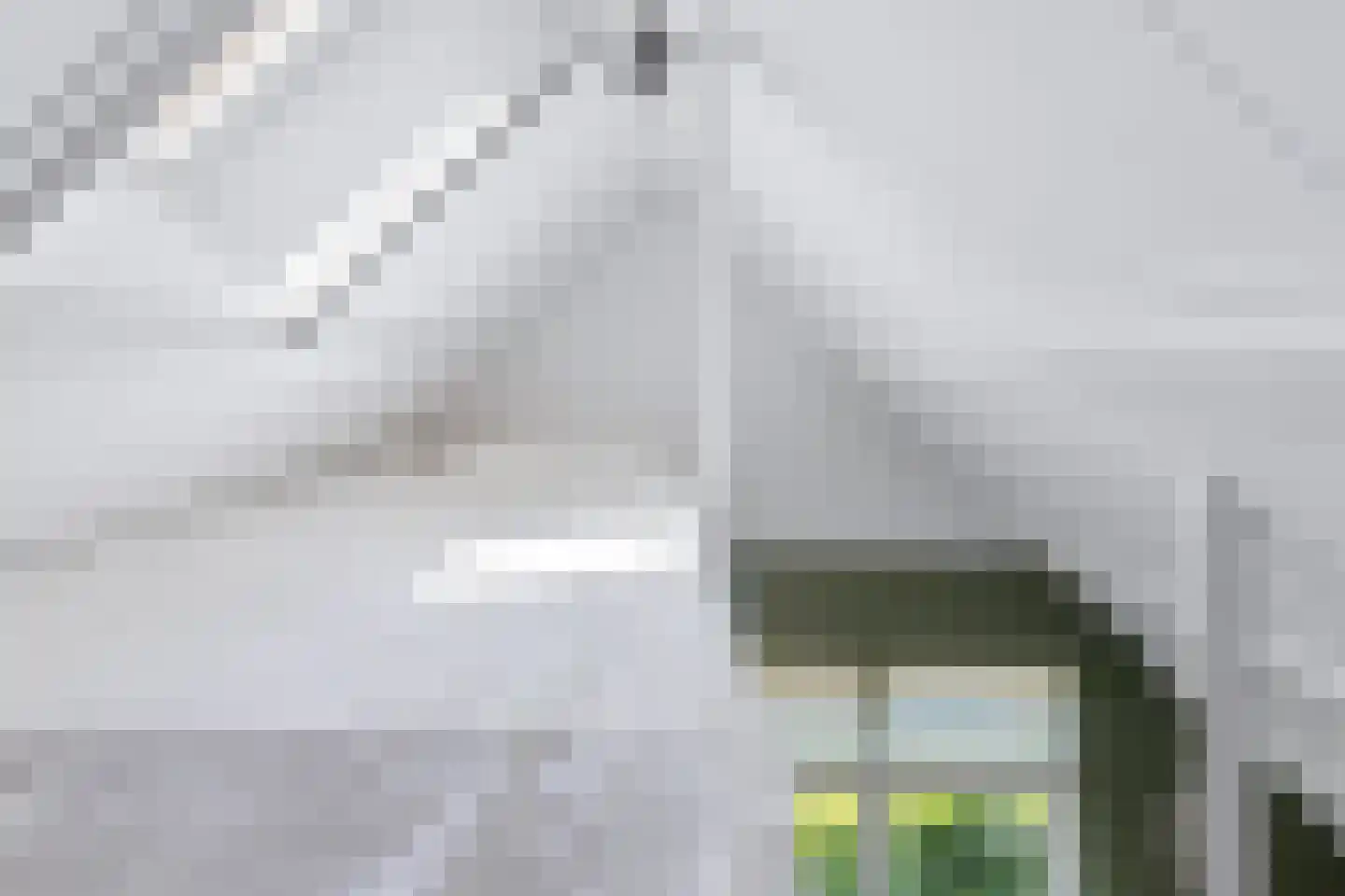 Achterwei 12 Sumar thumbnail 73