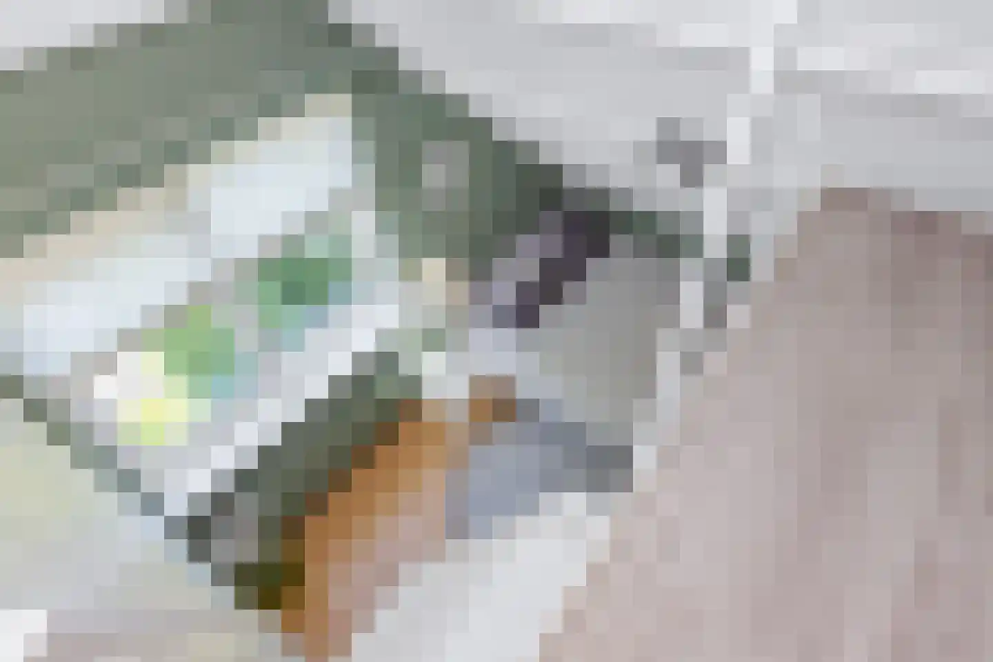 Achterwei 12 Sumar thumbnail 74