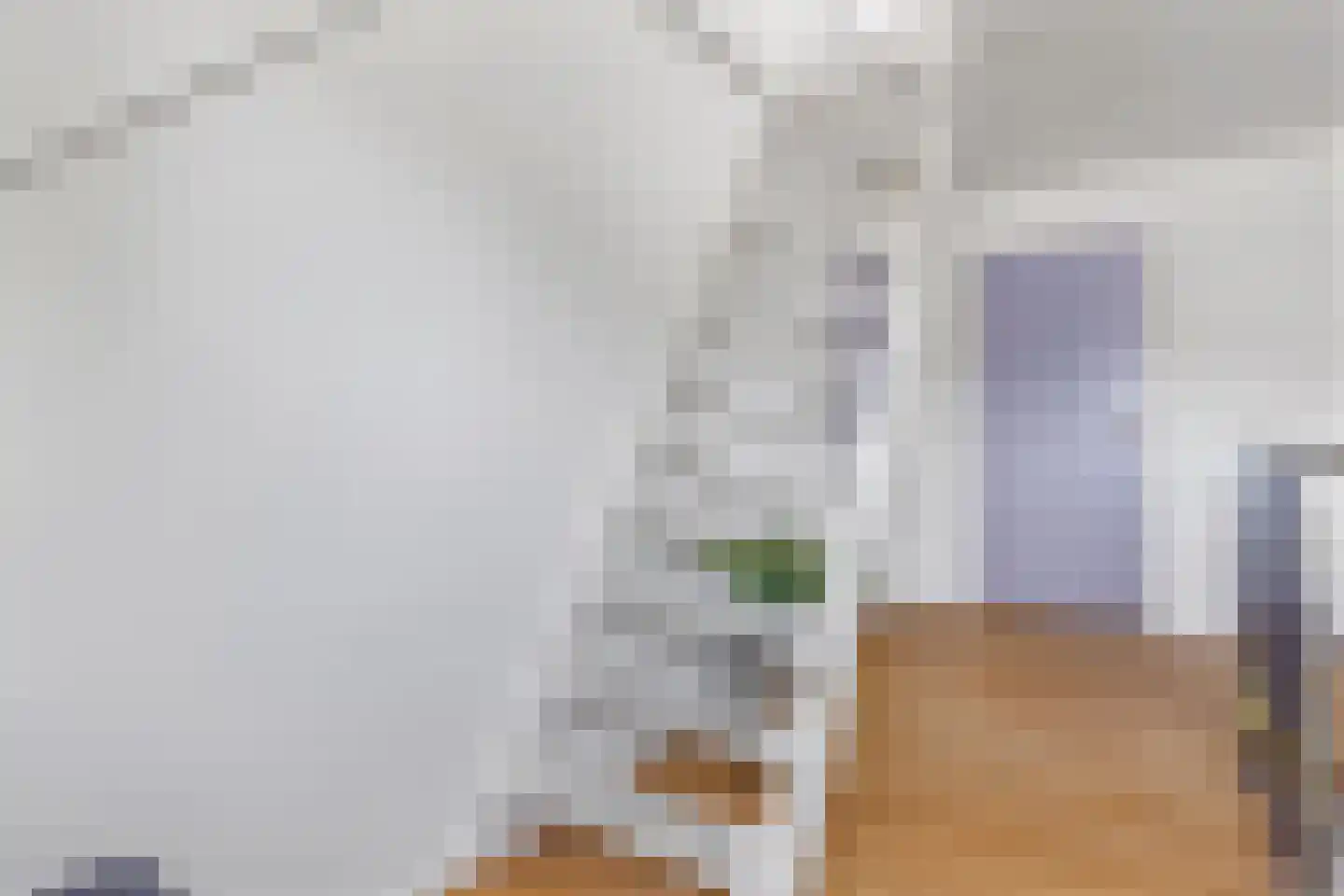 Achterwei 12 Sumar thumbnail 76