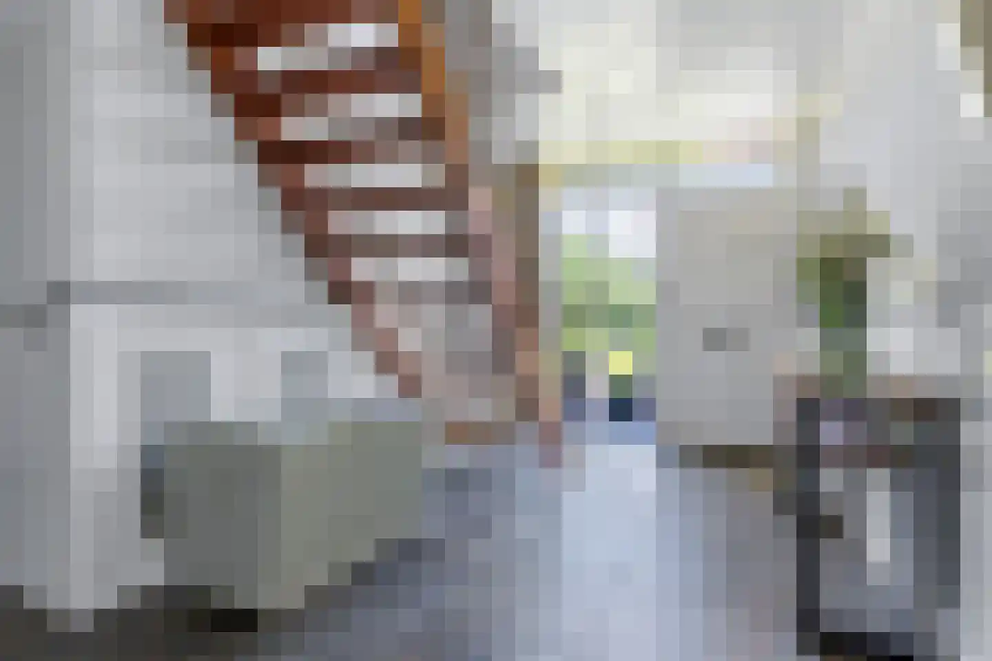 Achterwei 12 Sumar thumbnail 8
