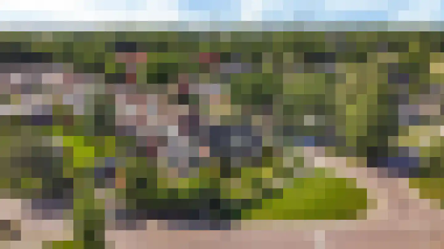 Achterwei 12 Sumar thumbnail 86