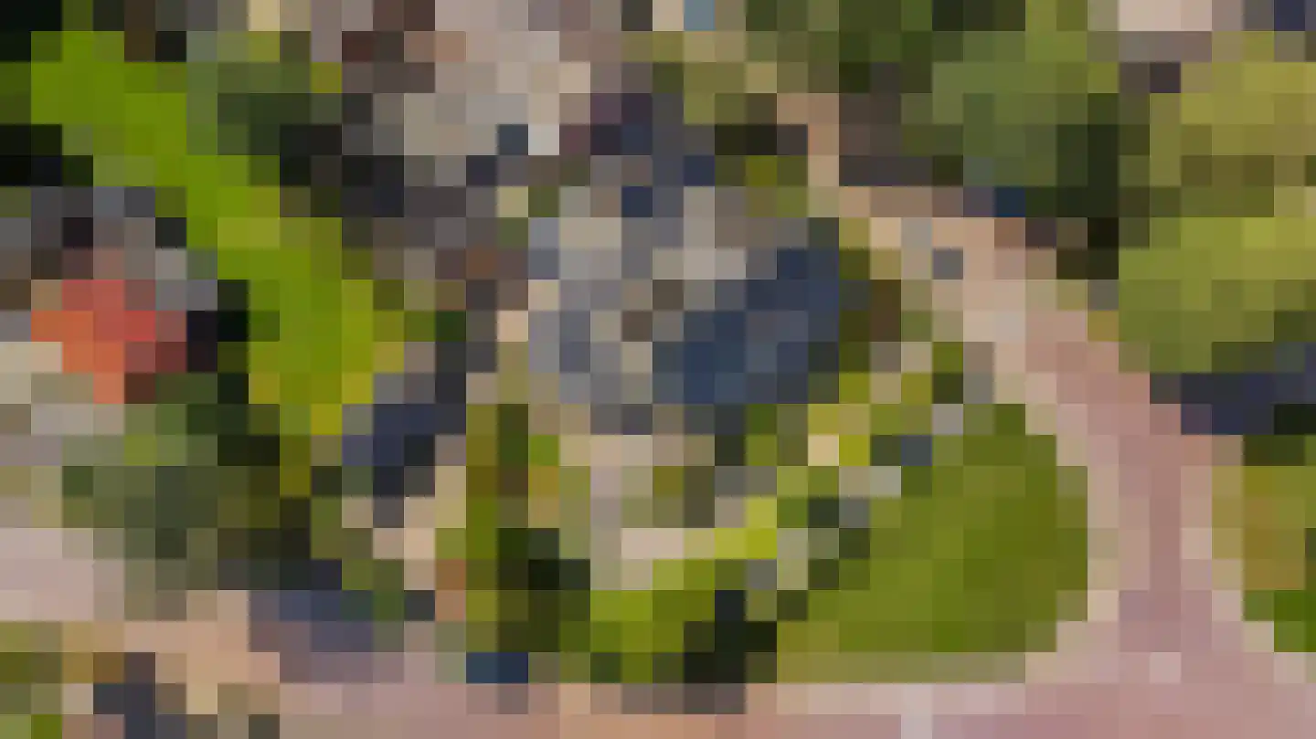 Achterwei 12 Sumar thumbnail 88