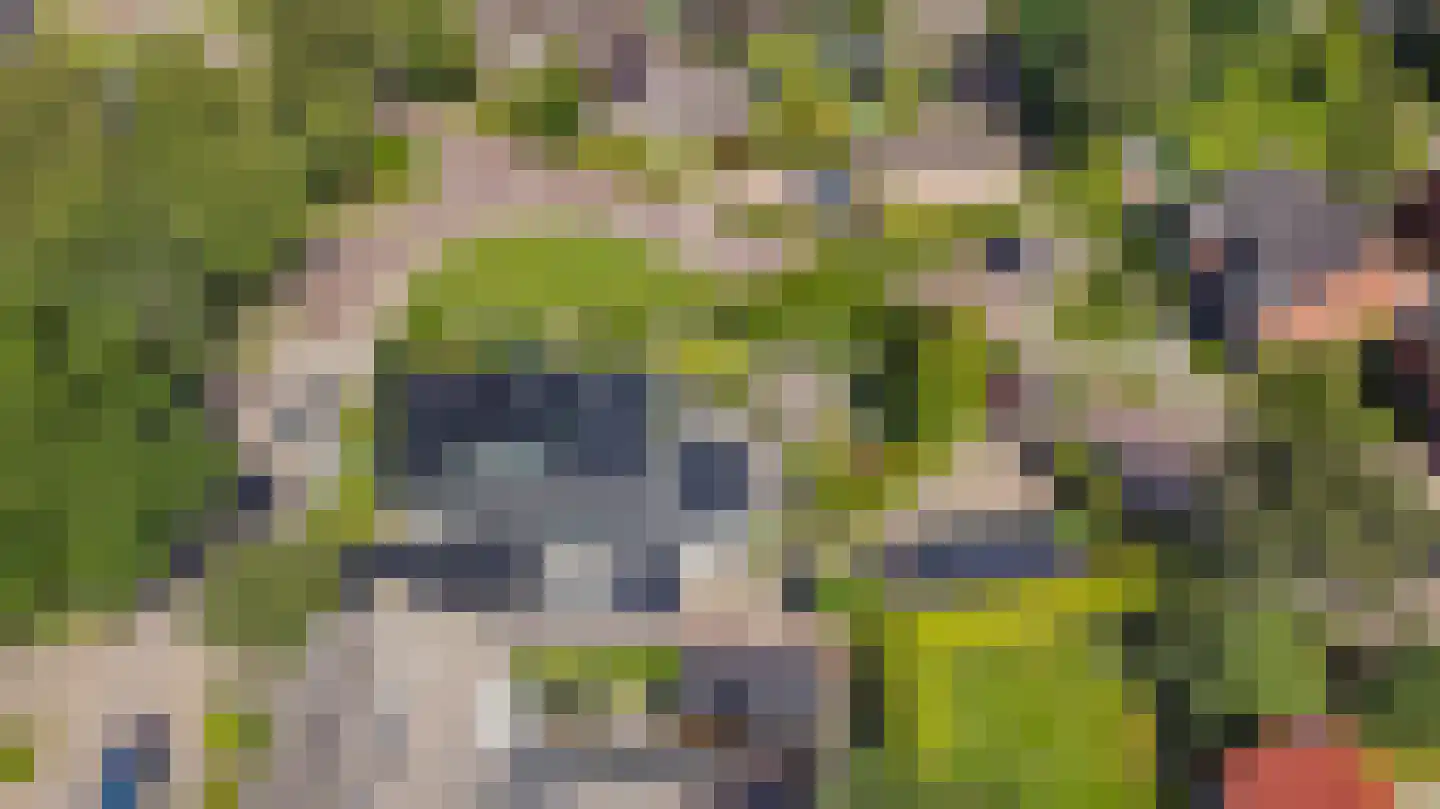 Achterwei 12 Sumar thumbnail 89