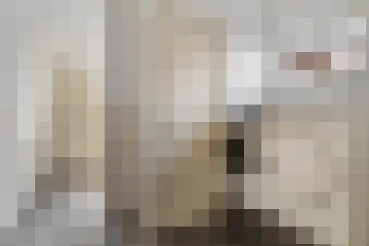 Achterwei 14 Kollumersweach thumbnail 18