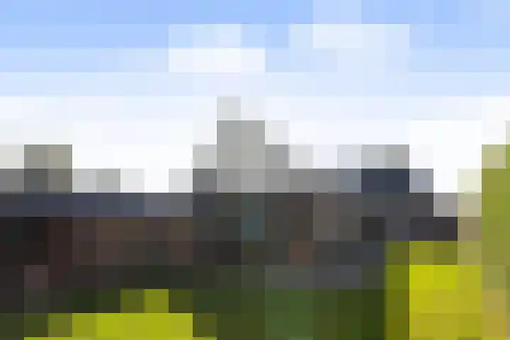Achterwei 14 Kollumersweach thumbnail 25