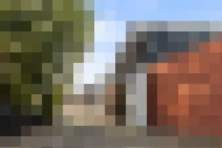 Achterwei 14 Kollumersweach thumbnail 34