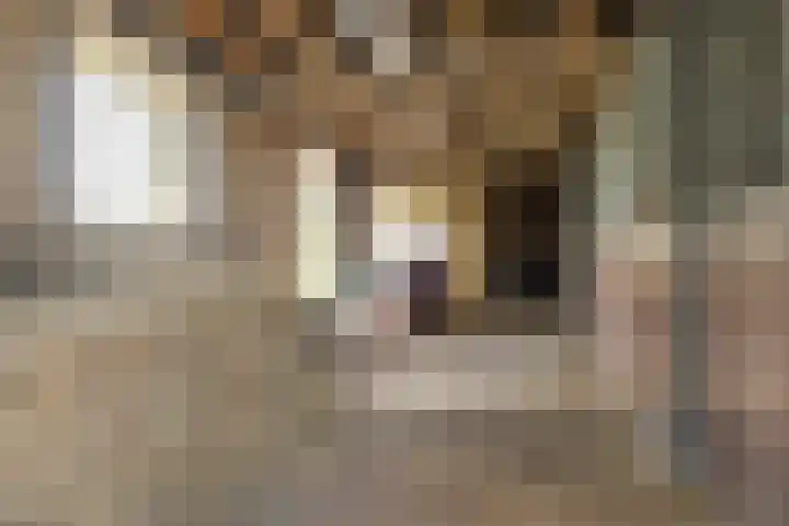 Achterwei 14 Kollumersweach thumbnail 35