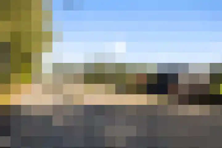 Achterwei 14 Kollumersweach thumbnail 36