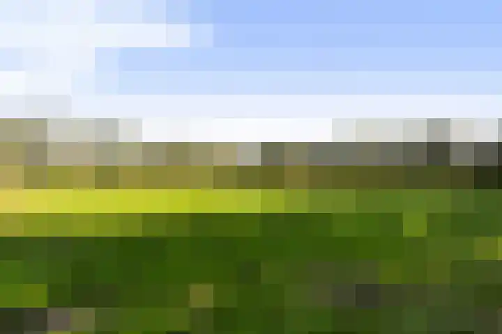 Achterwei 14 Kollumersweach thumbnail 37