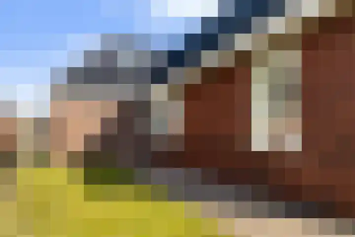 Achterwei 14 Kollumersweach thumbnail 38