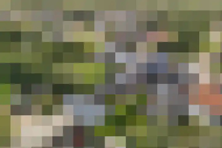 Achterwei 14 Kollumersweach thumbnail 4