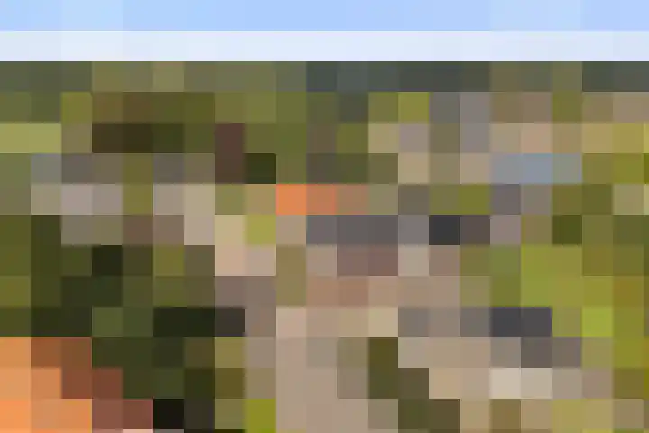 Achterwei 14 Kollumersweach thumbnail 40