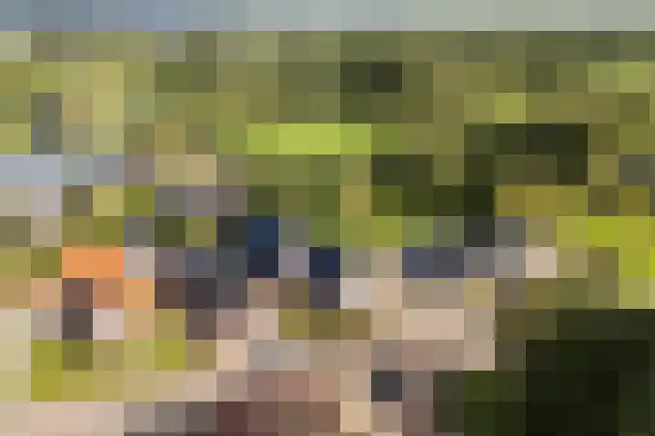 Achterwei 14 Kollumersweach thumbnail 41