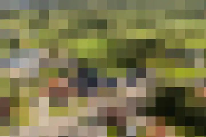 Achterwei 14 Kollumersweach thumbnail 42