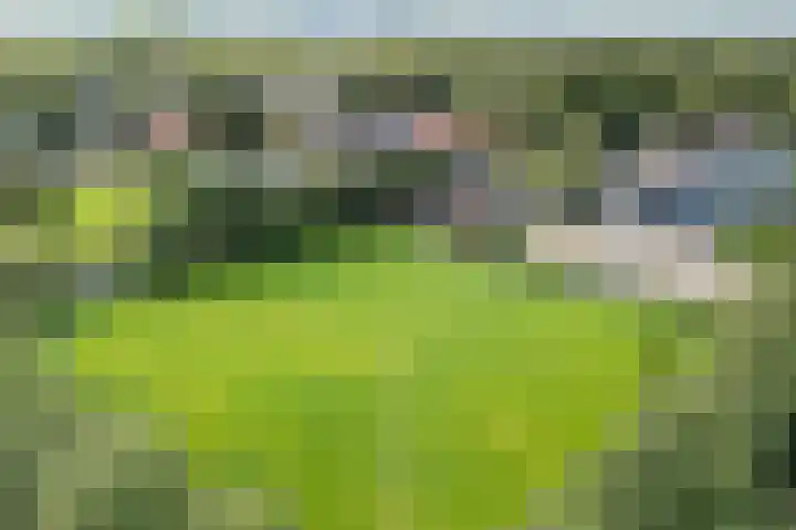 Achterwei 14 Kollumersweach thumbnail 43