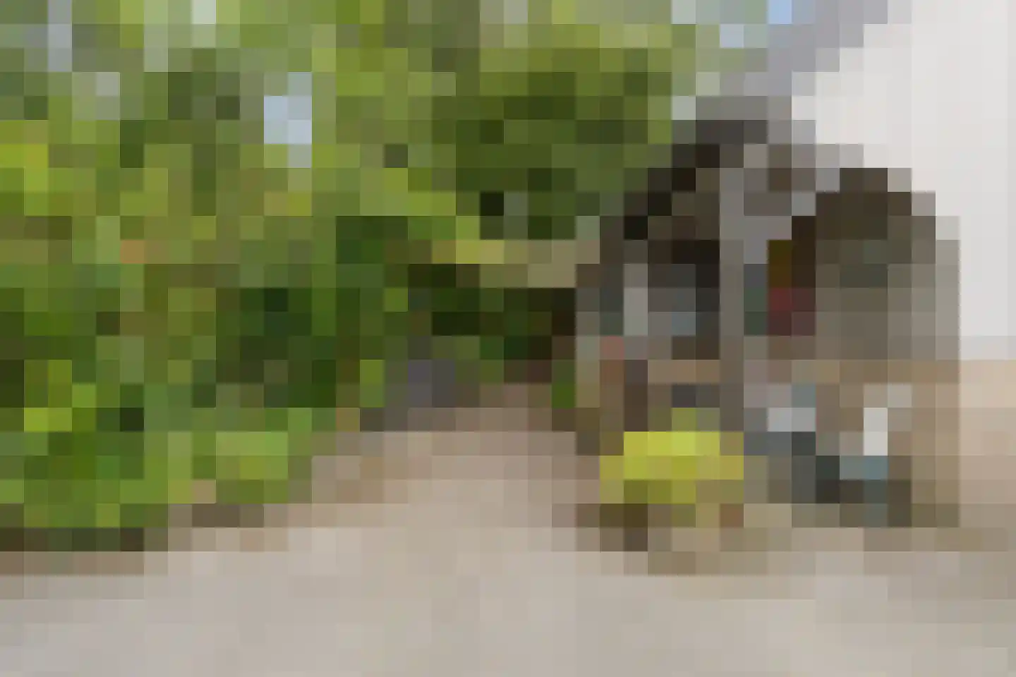 Achterwei 15 Kollumersweach thumbnail 33