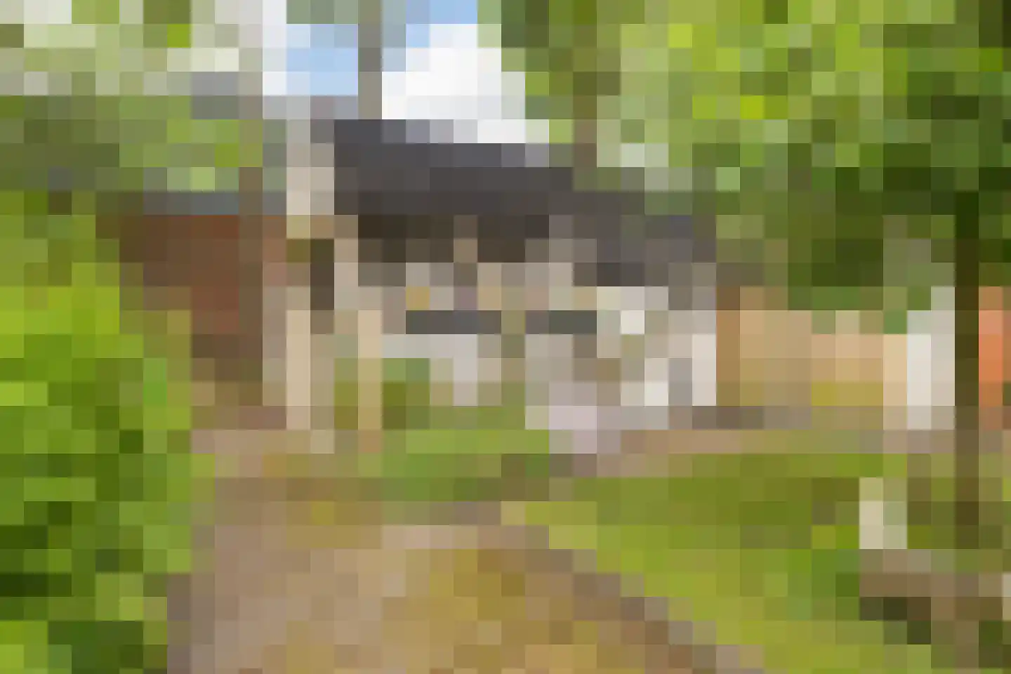 Achterwei 15 Kollumersweach thumbnail 36
