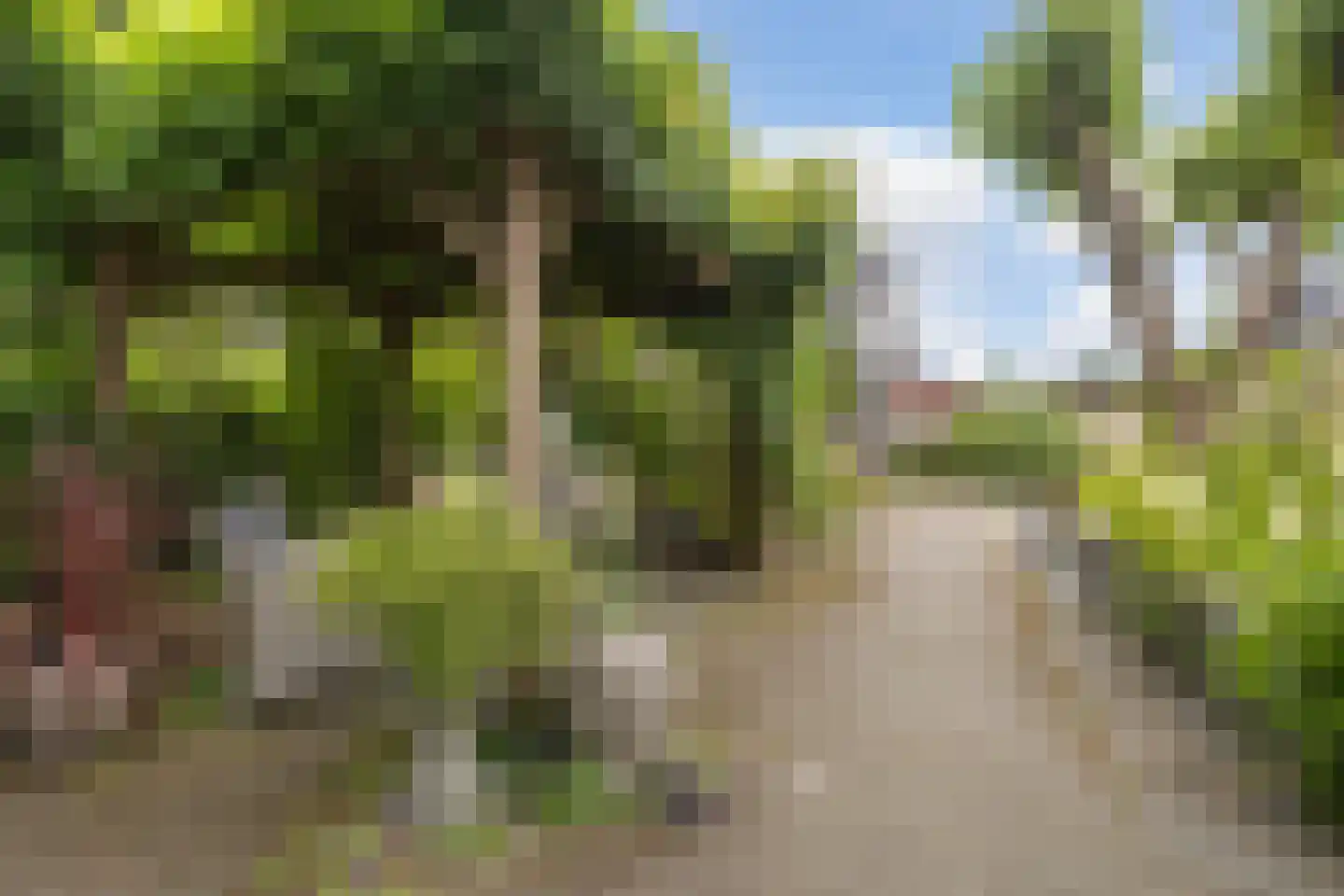 Achterwei 15 Kollumersweach thumbnail 4