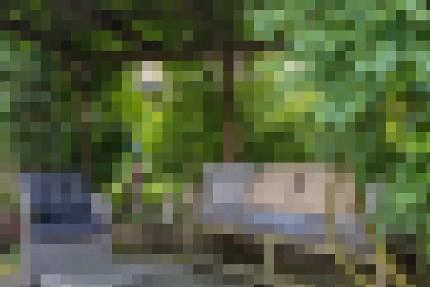 Achterwei 15 Kollumersweach thumbnail 40