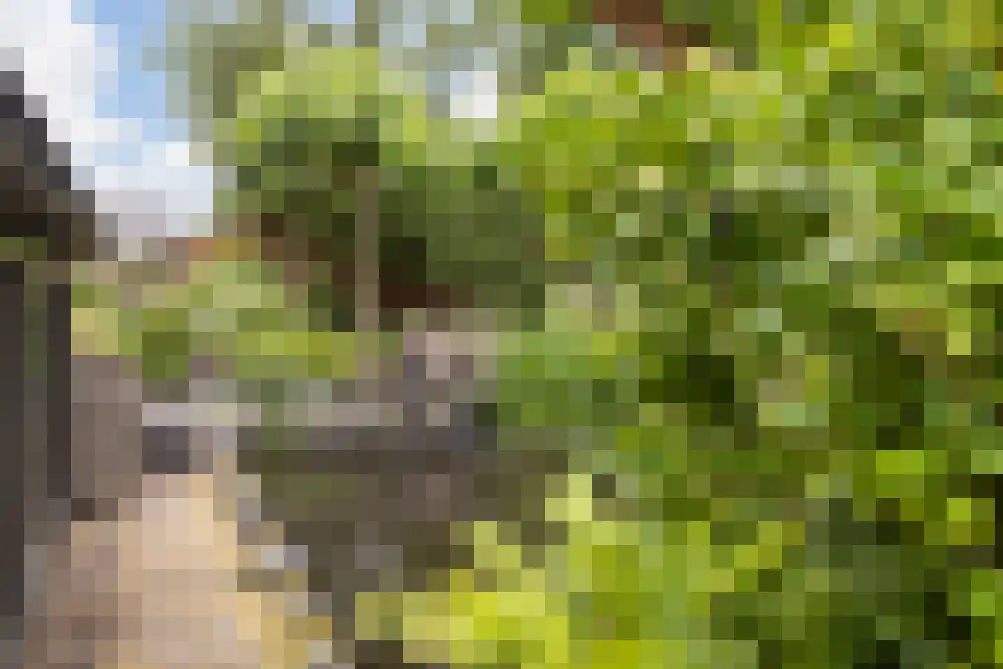 Achterwei 15 Kollumersweach thumbnail 42