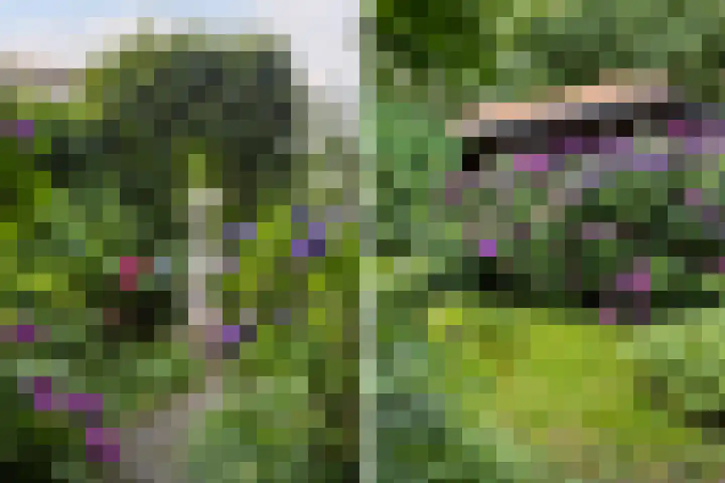 Achterwei 15 Kollumersweach thumbnail 43