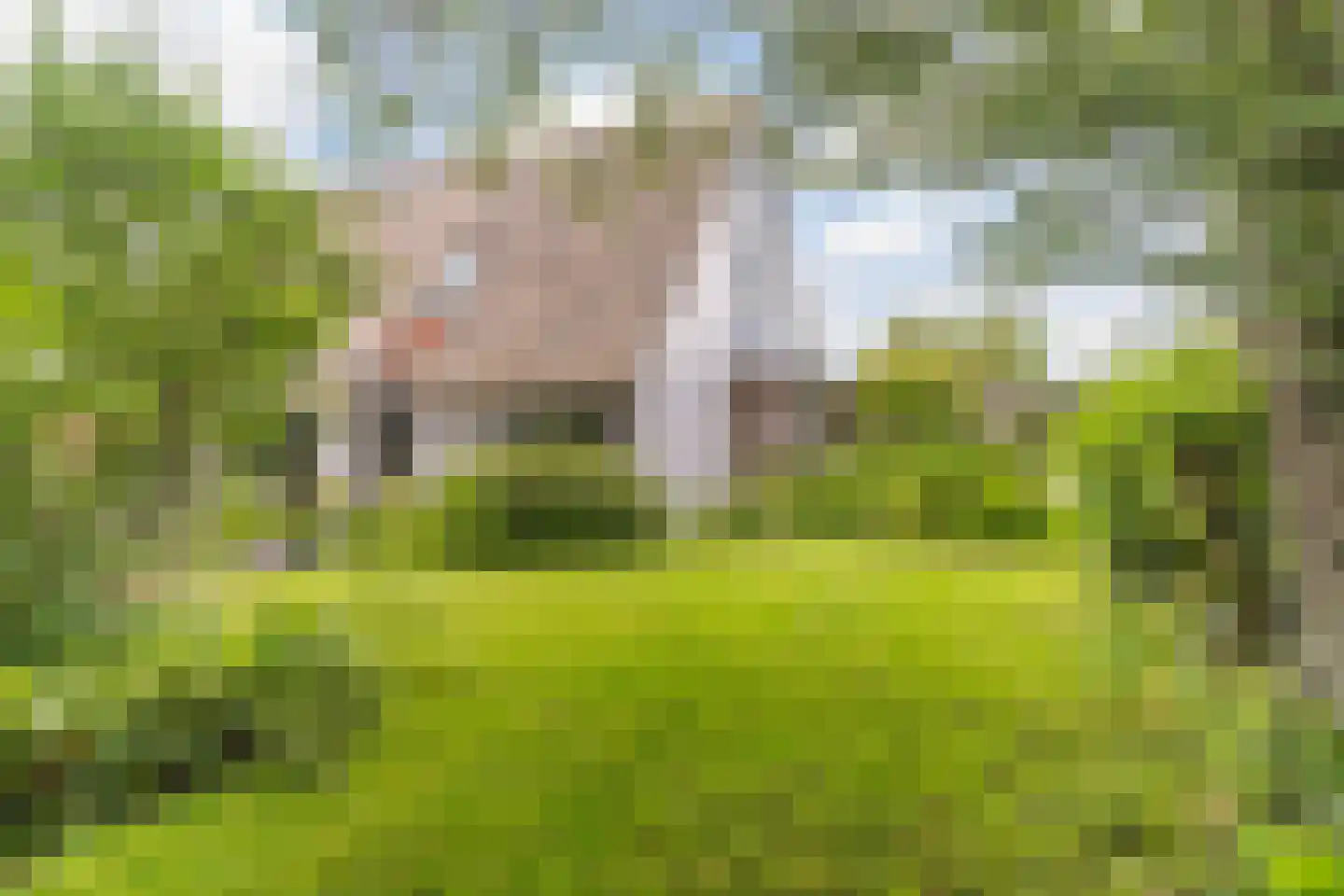 Achterwei 15 Kollumersweach thumbnail 44