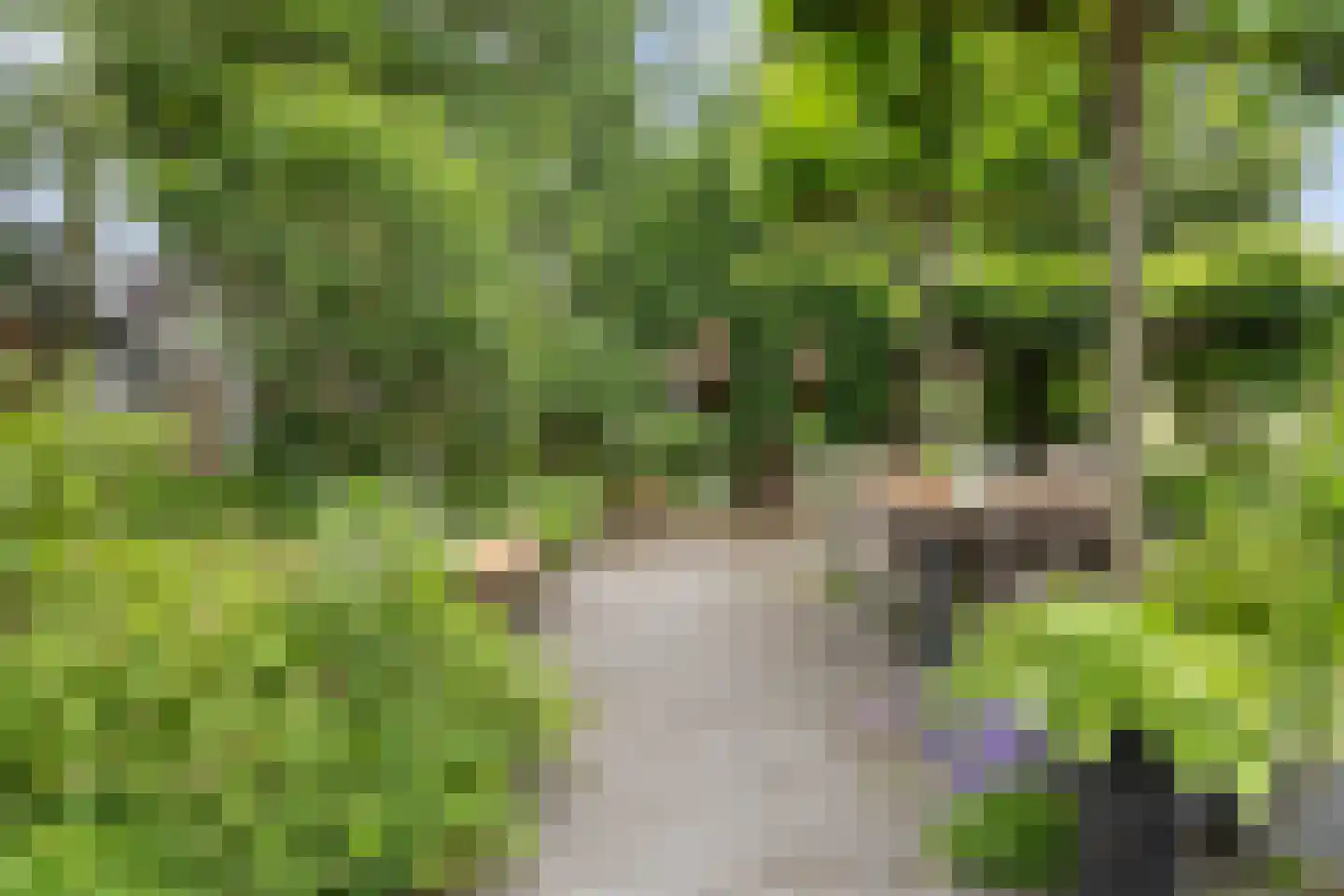 Achterwei 15 Kollumersweach thumbnail 45