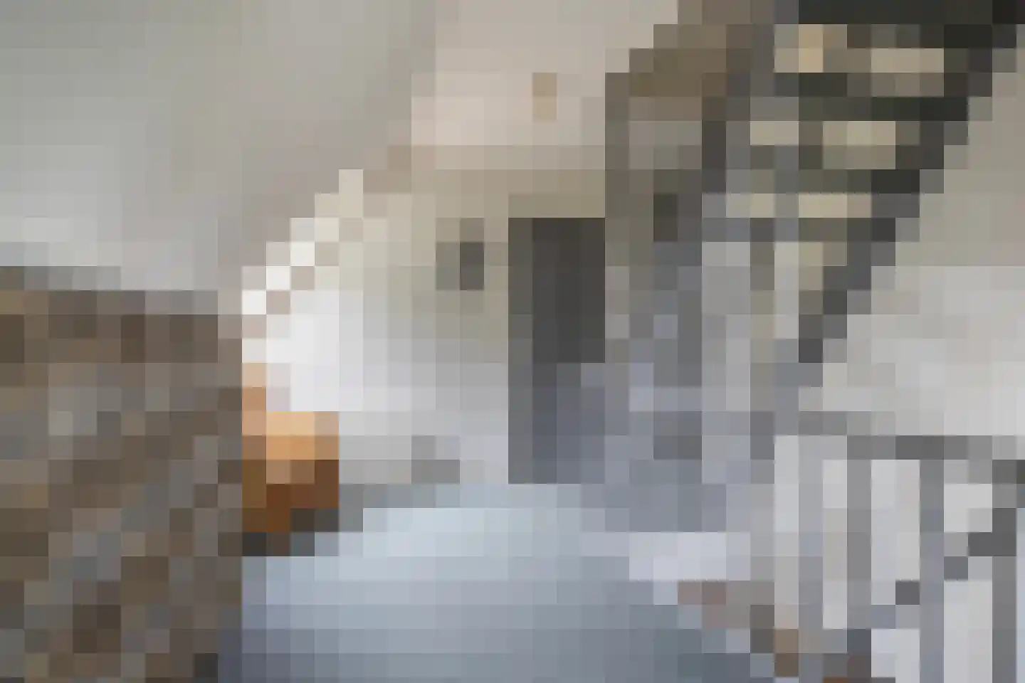 Achterwei 15 Kollumersweach thumbnail 46
