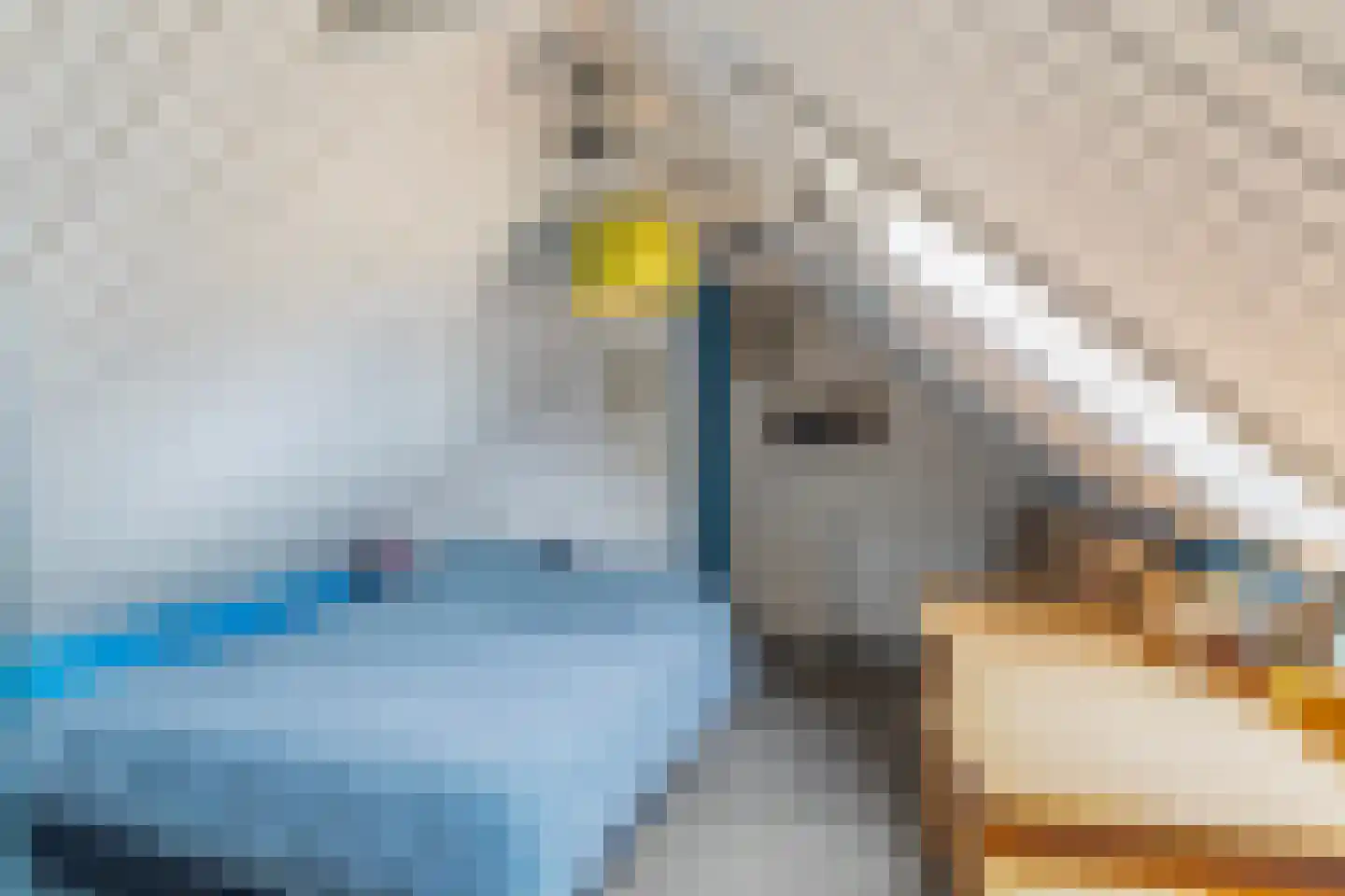 Achterwei 15 Kollumersweach thumbnail 56