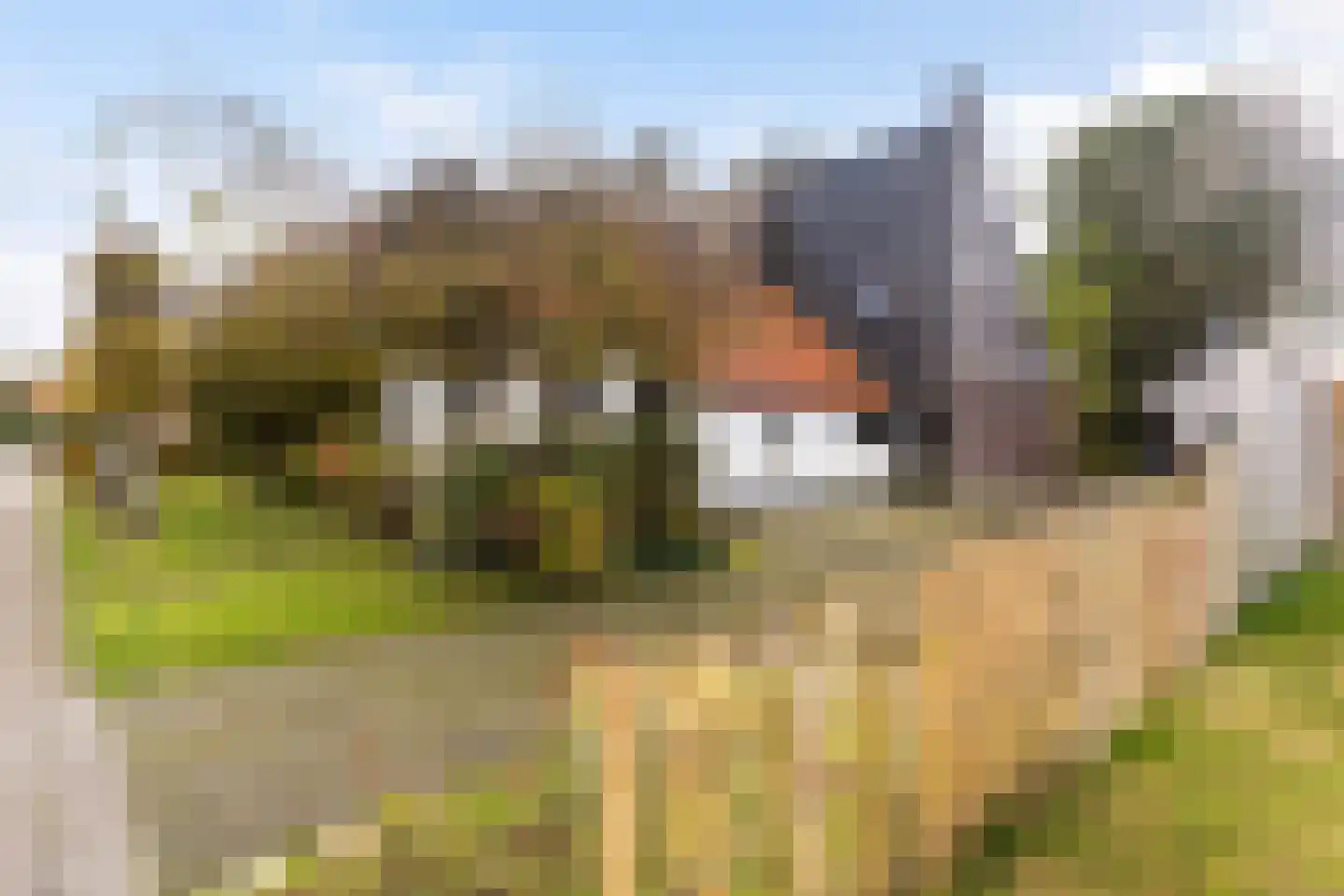 Achterwei 15 Kollumersweach thumbnail 6