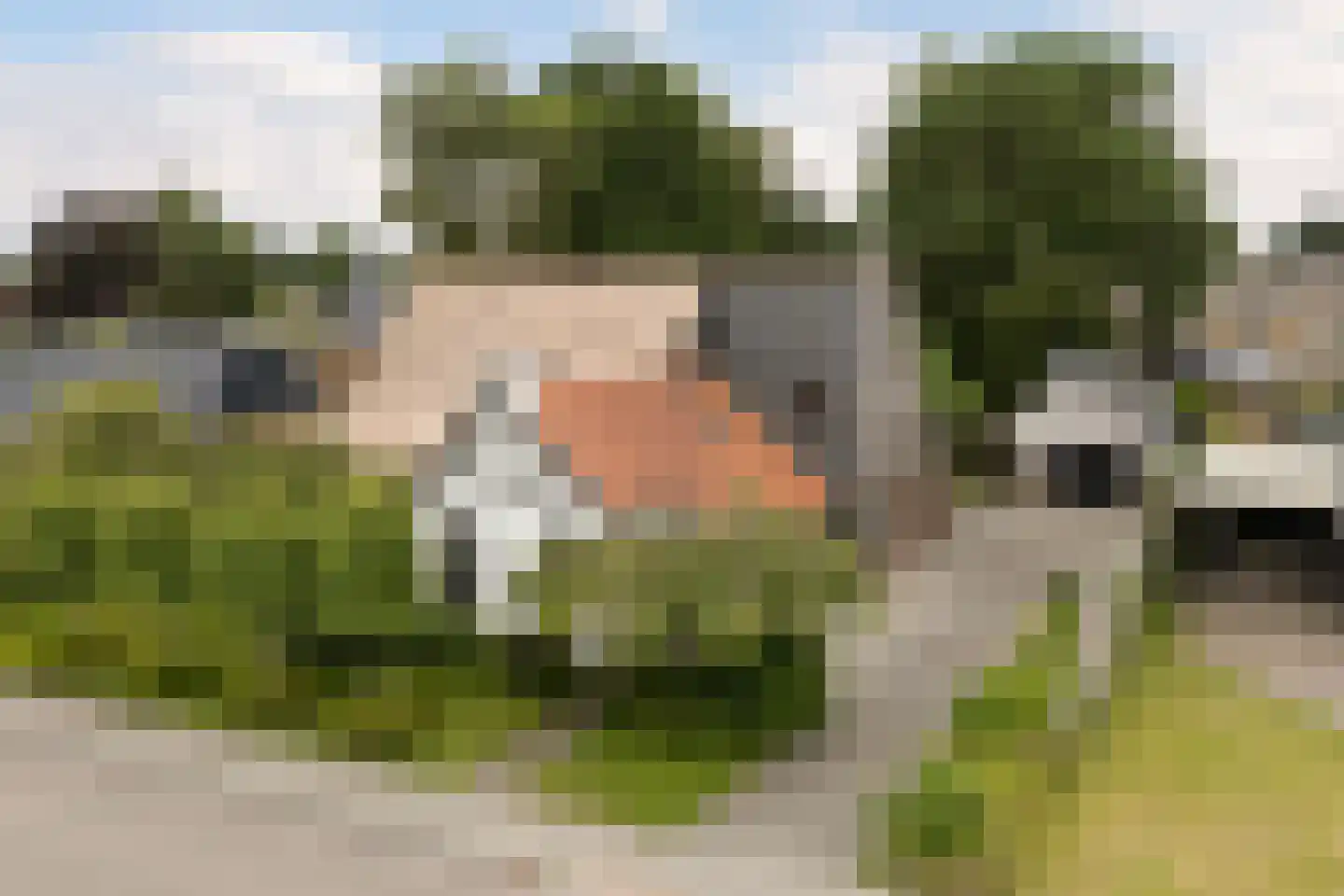 Achterwei 15 Kollumersweach thumbnail 61