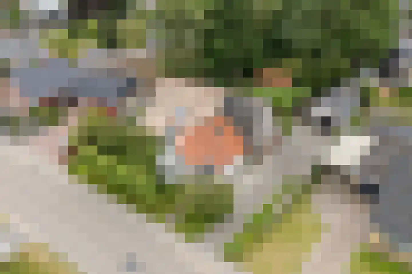 Achterwei 15 Kollumersweach thumbnail 64