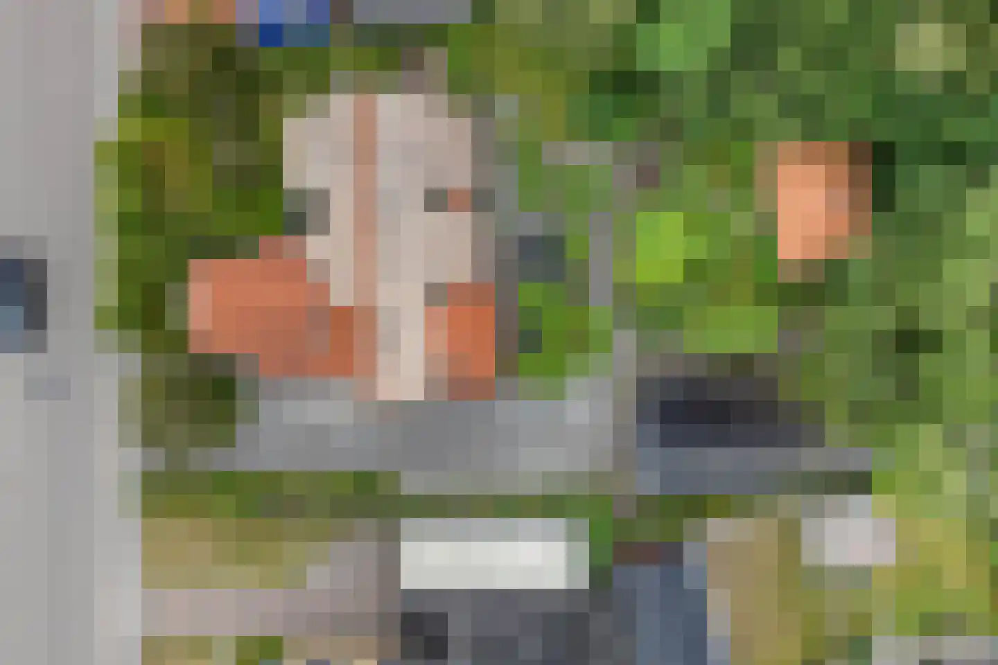 Achterwei 15 Kollumersweach thumbnail 65