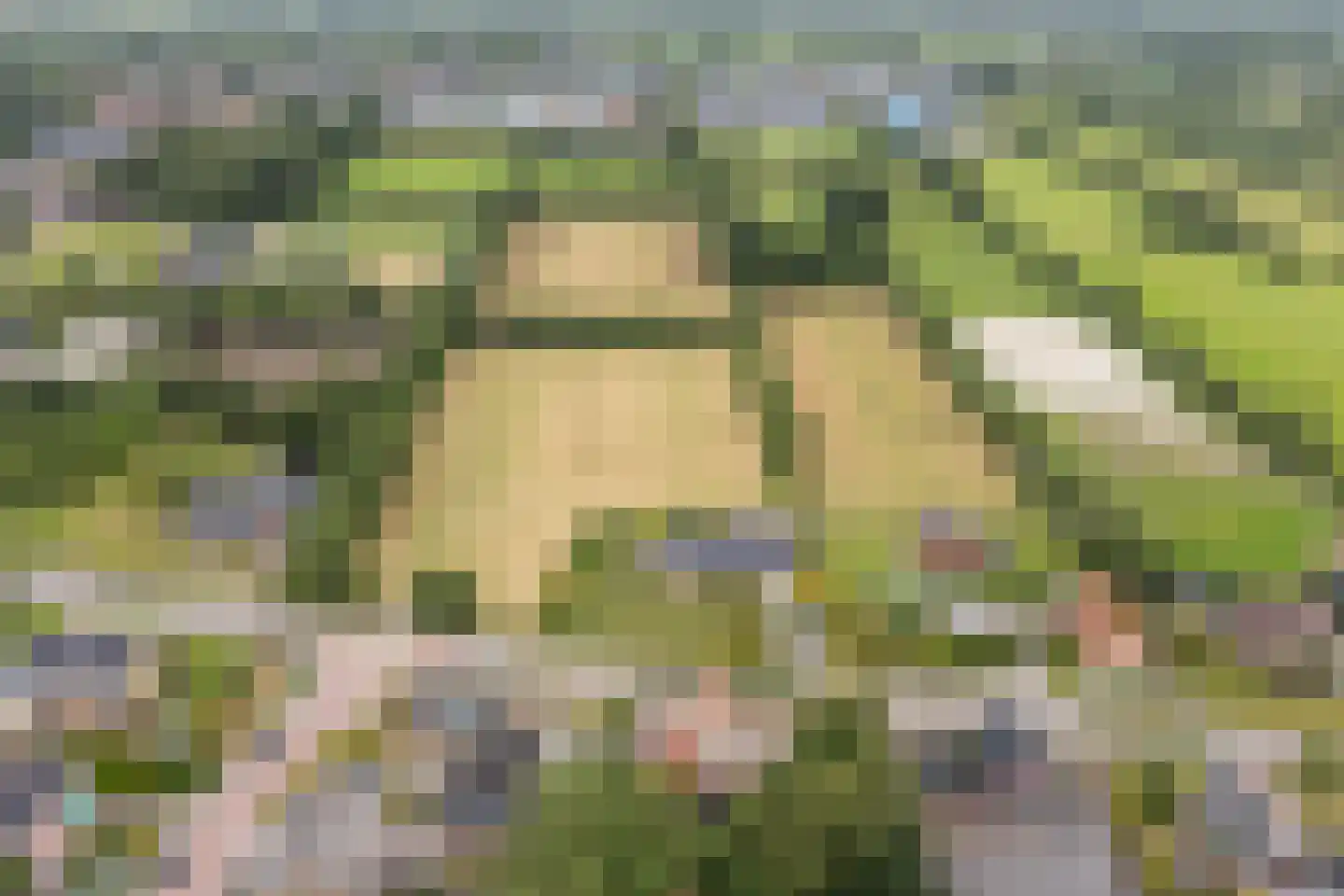 Achterwei 15 Kollumersweach thumbnail 66