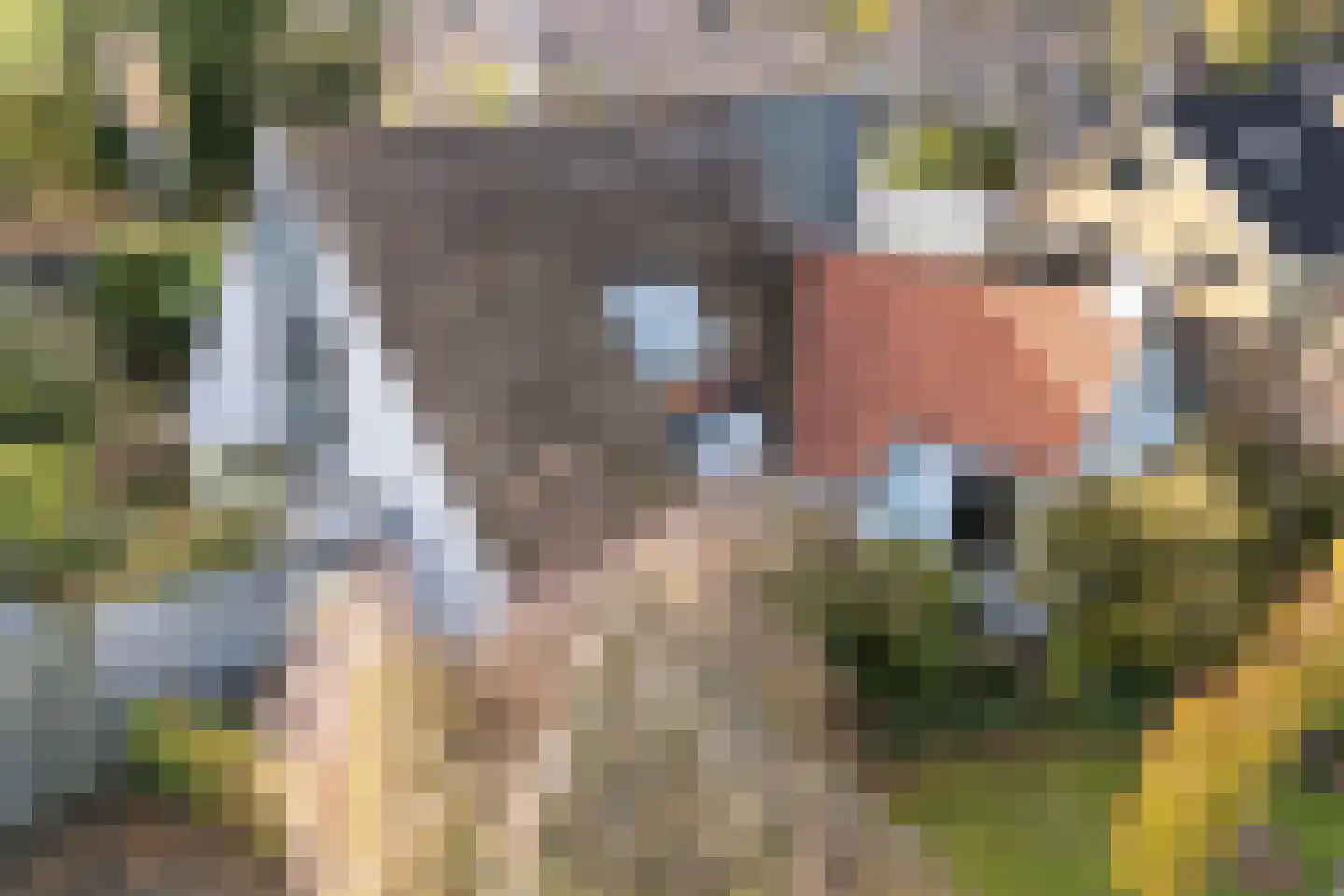Achterwei 15 Kollumersweach thumbnail 7