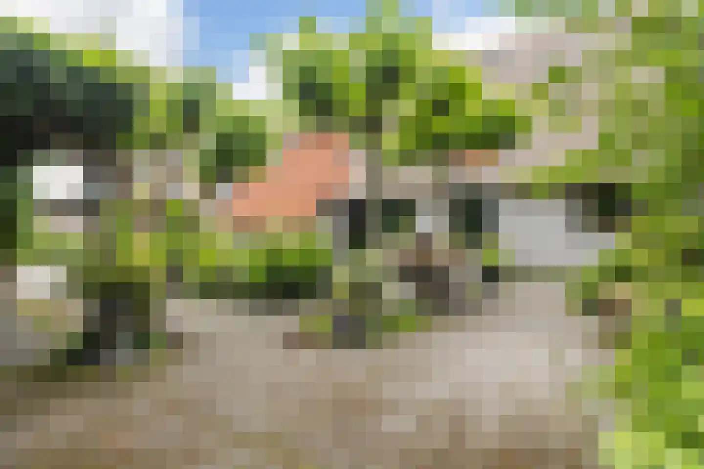 Achterwei 15 Kollumersweach thumbnail 9