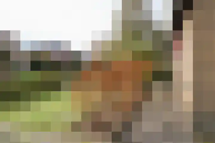 Achterwei 15 Oudega thumbnail 10