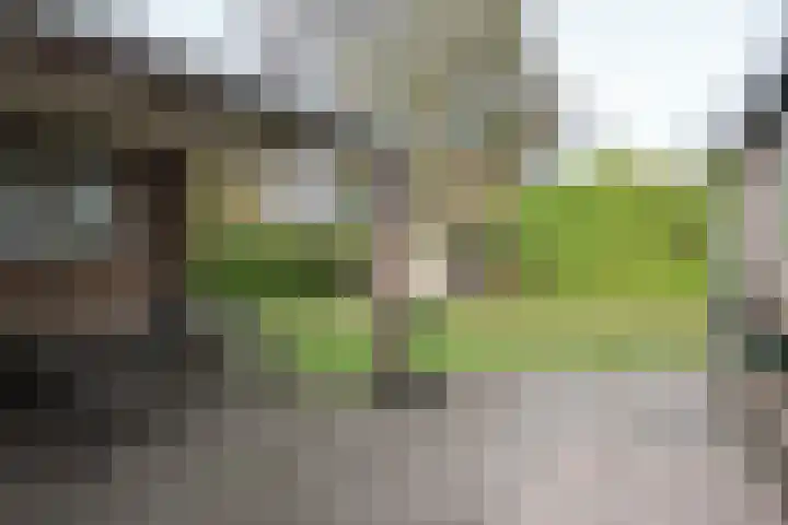 Achterwei 15 Oudega thumbnail 46
