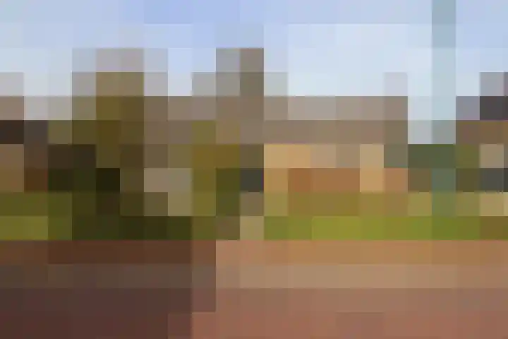 Achterwei 15 Oudega thumbnail 5