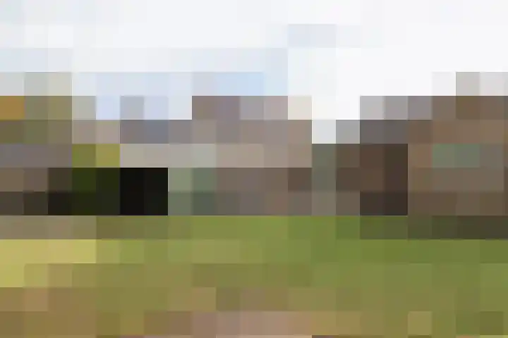 Achterwei 15 Oudega thumbnail 52