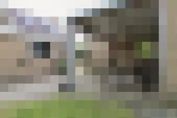 Achterwei 15 Oudega thumbnail 53