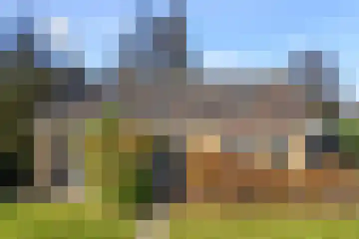 Achterwei 15 Oudega thumbnail 58