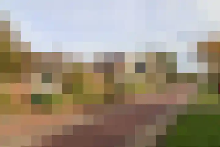 Achterwei 15 Oudega thumbnail 60