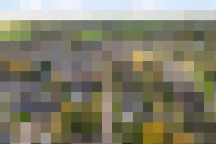 Achterwei 15 Oudega thumbnail 63
