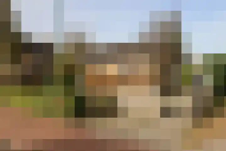 Achterwei 15 Oudega thumbnail 8