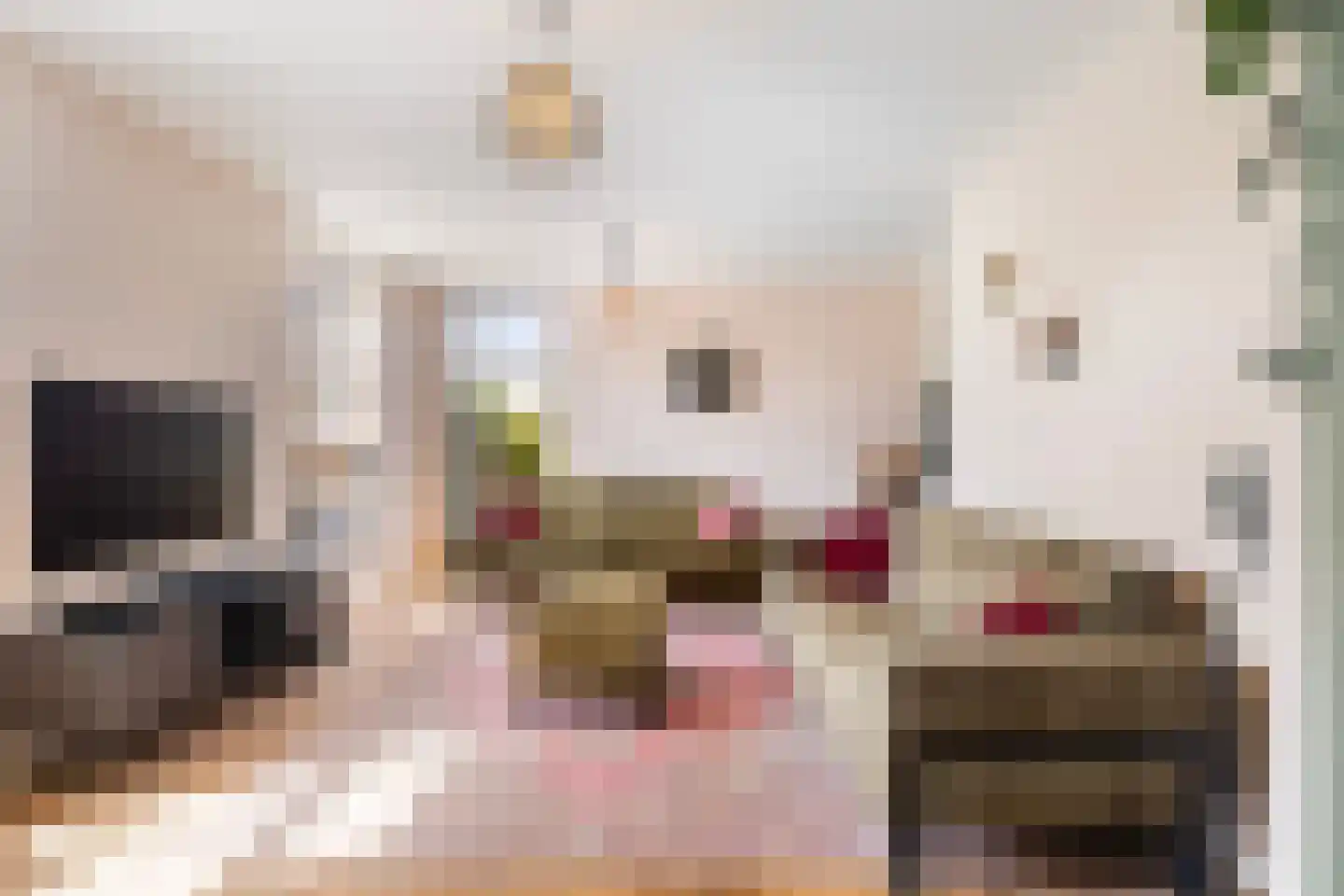 Achterwei 2 Ie thumbnail 11