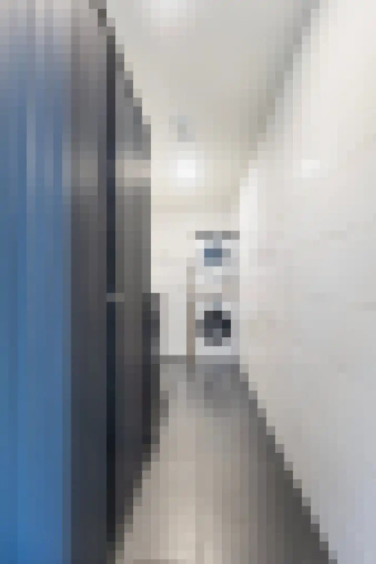 Achterwei 2 Ie thumbnail 19