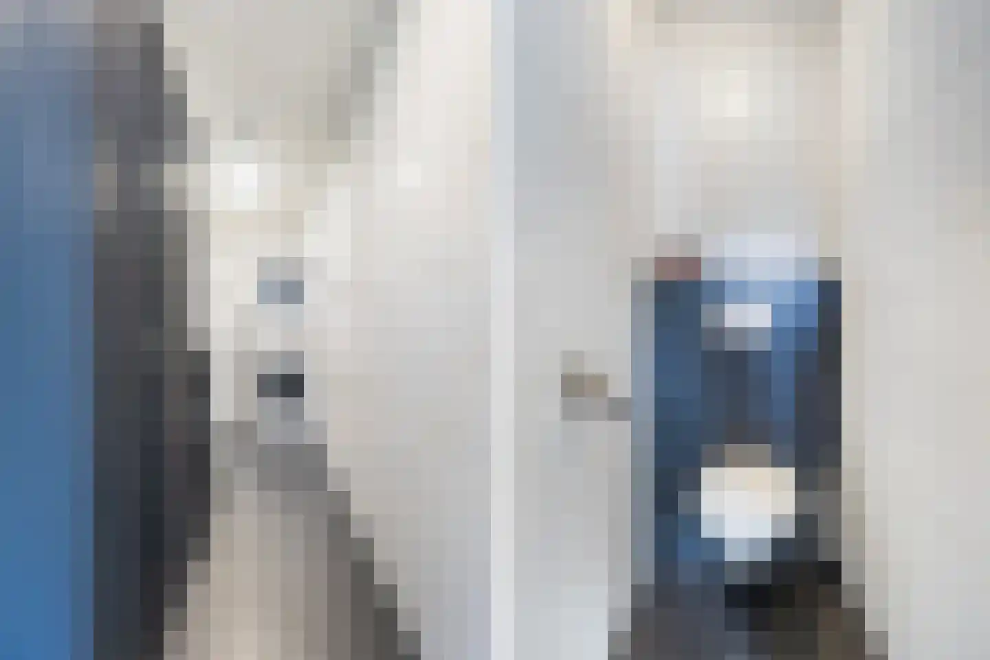 Achterwei 2 Ie thumbnail 21