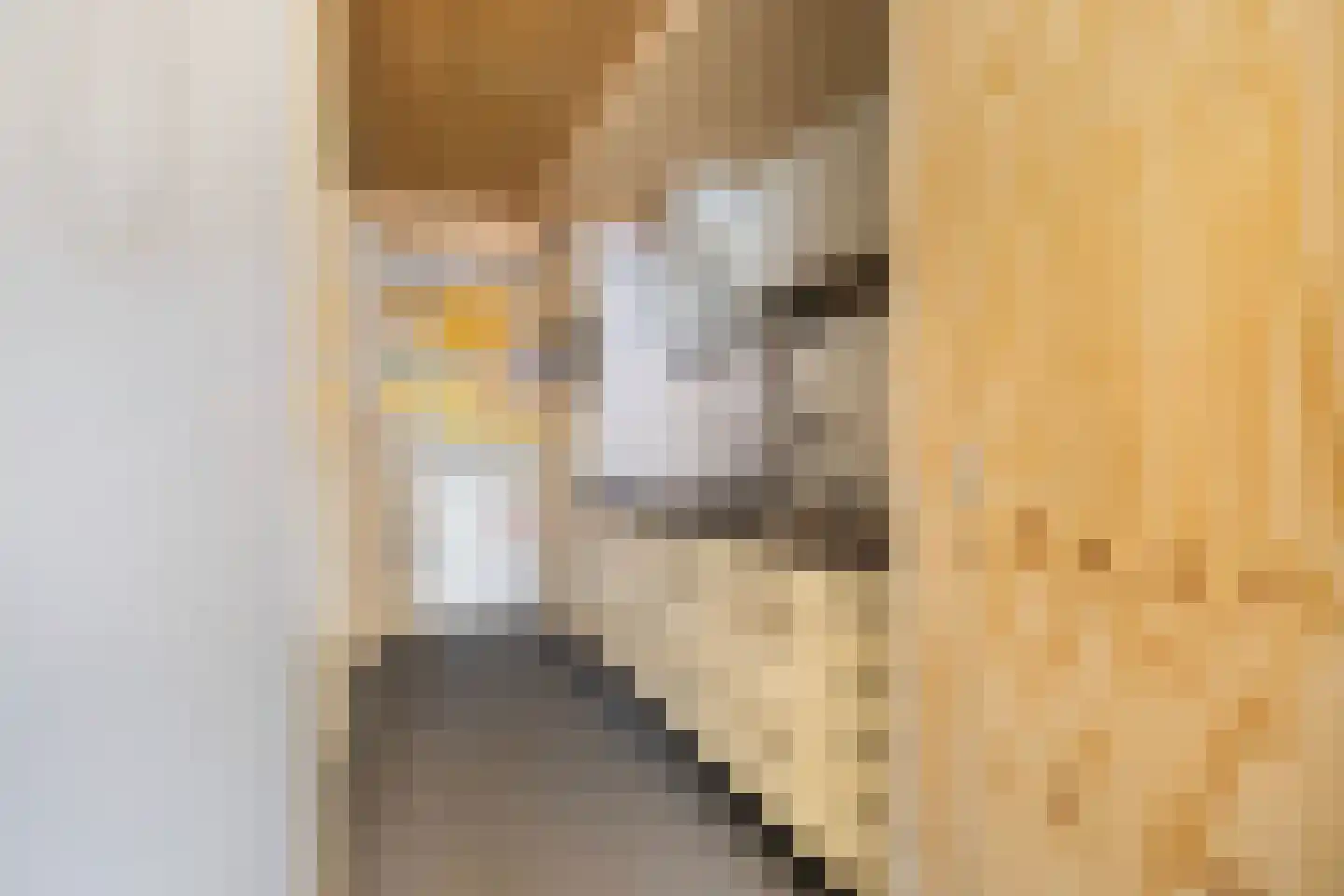 Achterwei 2 Ie thumbnail 23