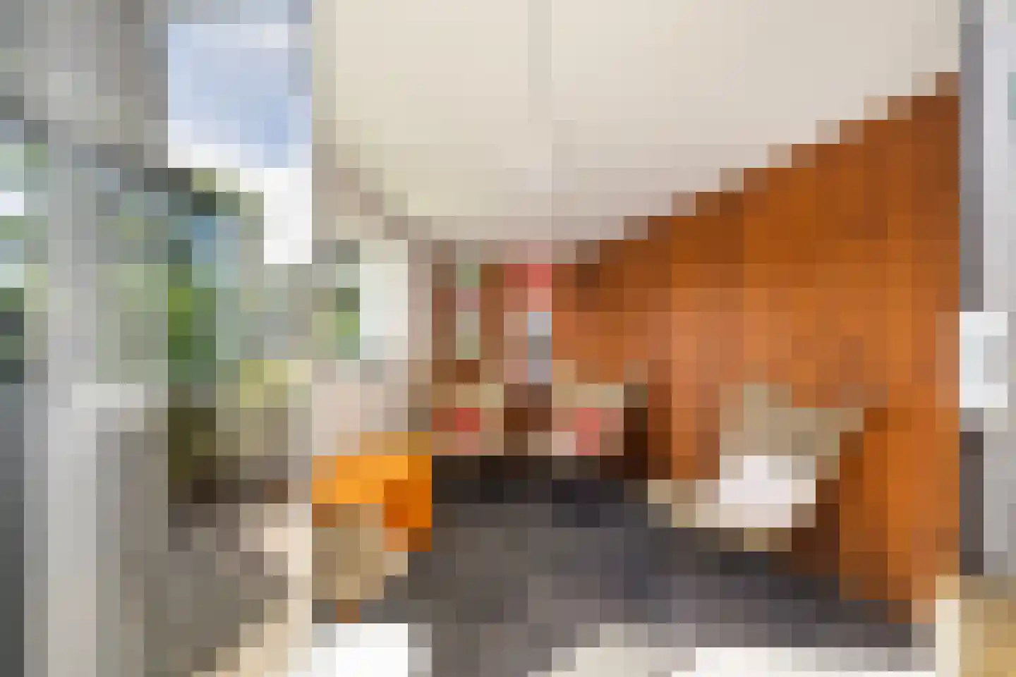 Achterwei 2 Ie thumbnail 25